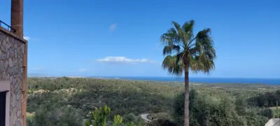 Finca rústica en venta en Carrer d'A 22, Son Macià (Manacor) de 3.500.000 €