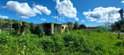 Finca rústica en venta en Manacor, Manacor de 126.000 €