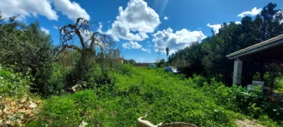 Finca rústica en venta en Manacor, Manacor de 126.000 €