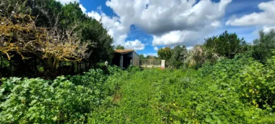 Finca rústica en venta en Manacor, Manacor de 126.000 €
