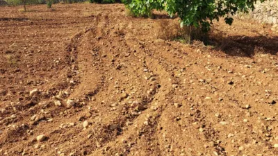 Finca rústica en venta en Polígono 7, Manacor de 220.000 €