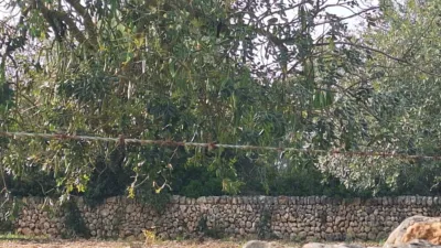 Finca rústica en venta en Polígono 7, Manacor de 220.000 €