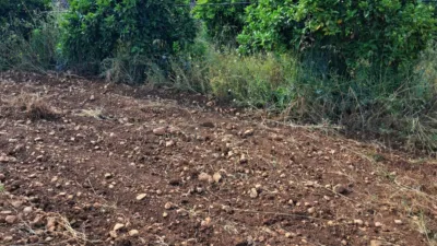 Finca rústica en venta en Polígono 7, Manacor de 220.000 €