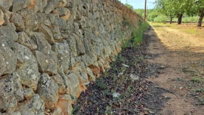 Finca rústica en venta en Polígono 7, Manacor de 220.000 €