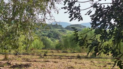 Finca rústica en venta en Polígono 7, Manacor de 220.000 €