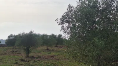 Finca rústica en venta en Polígono 7, Manacor de 220.000 €