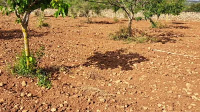 Finca rústica en venta en Polígono 7, Manacor de 220.000 €