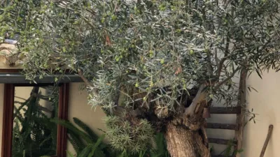 Casa en venta en Porto Cristo, Porto Cristo (Manacor) de 335.000 €