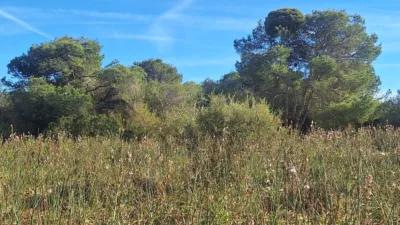 Terreno en venta en Porto Cristo, Porto Cristo (Manacor) de 450.000 €