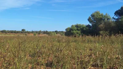 Terreno en venta en Porto Cristo, Porto Cristo (Manacor) de 450.000 €