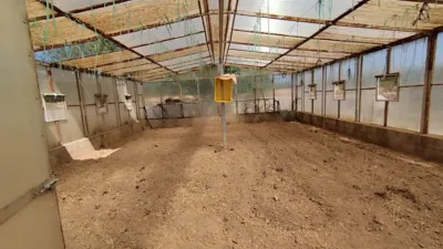 Finca rústica en venta en Avenida de la Carrasca, 2, El Escobar (Fuente Álamo de Murcia) de 250.000 €