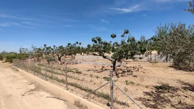 Finca rústica en venta en Avenida de la Carrasca, 2, El Escobar (Fuente Álamo de Murcia) de 250.000 €