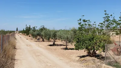 Finca rústica en venta en Avenida de la Carrasca, 2, El Escobar (Fuente Álamo de Murcia) de 250.000 €