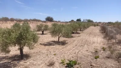 Finca rústica en venta en Avenida de la Carrasca, 2, El Escobar (Fuente Álamo de Murcia) de 250.000 €