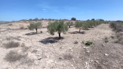 Finca rústica en venta en Avenida de la Carrasca, 2, El Escobar (Fuente Álamo de Murcia) de 250.000 €