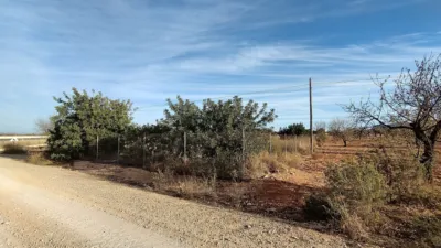 Terreno en venta en Calle La Magdalena, Número 4, El Palmero-San Isidro-La Magdalena (Distrito Pedanías Oeste. Cartagena) de 40.000 €