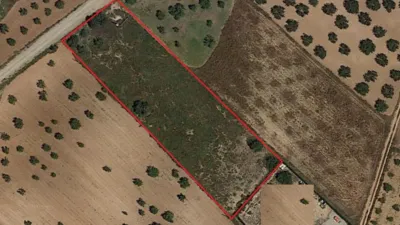 Terreno en venta en Calle La Magdalena, Número 4, El Palmero-San Isidro-La Magdalena (Distrito Pedanías Oeste. Cartagena) de 40.000 €