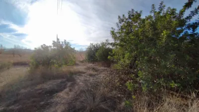 Terreno en venta en Calle La Magdalena, Número 4, El Palmero-San Isidro-La Magdalena (Distrito Pedanías Oeste. Cartagena) de 40.000 €