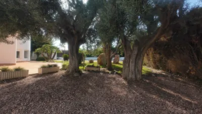 Chalet en venta en Calle Sicimoro, Canteras-La Vaguada (Distrito Pedanías Oeste. Cartagena) de 595.000 €