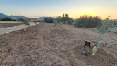 Terreno en venta en Carretera a Guía, Los Dolores-Los Gabatos-Hispanoamérica (Distrito Núcleo Urbano. Cartagena) de 45.000 €