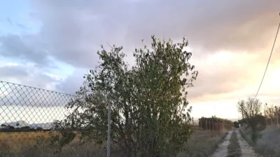 Rustic farm in Carretera los Castillejos photo 4
