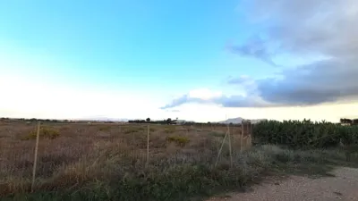 Rustic farm in Carretera los Castillejos photo 2