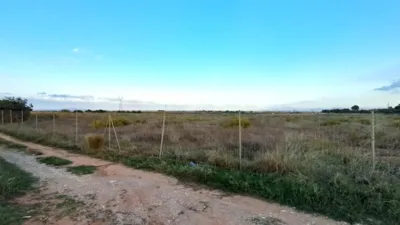 Rustic farm in Carretera los Castillejos photo 3