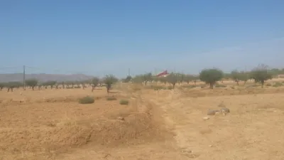Terreno en venta en Cuesta Blanca- Camino A La Magdalena, El Palmero-San Isidro-La Magdalena (Distrito Pedanías Oeste. Cartagena) de 20.000 €