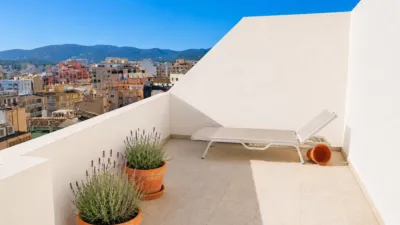 Apartment in Santa Catalina photo 8