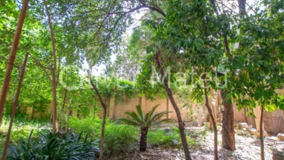 Casa in Soller photo 20