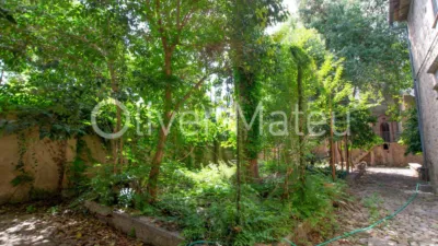 Casa in Soller photo 6