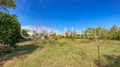 House in Algaida photo 26