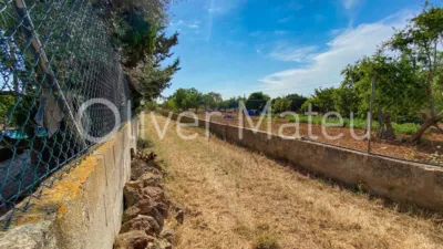 House in Algaida photo 27
