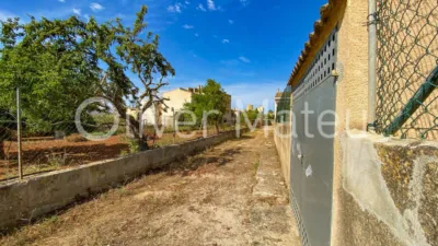 House in Algaida photo 28
