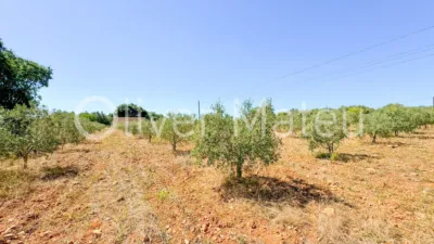 Single-family chalet in Algaida-Sta.Eugenia photo 45
