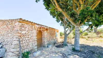 Single-family chalet in Algaida-Sta.Eugenia photo 21