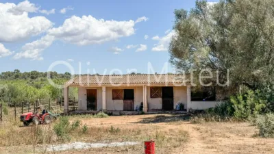 Single-family chalet in Algaida-Sta.Eugenia photo 87