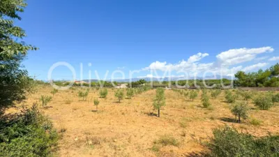 Single-family chalet in Algaida-Sta.Eugenia photo 31
