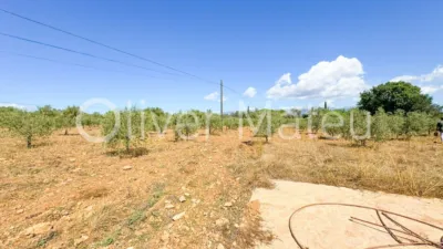 Single-family chalet in Algaida-Sta.Eugenia photo 42