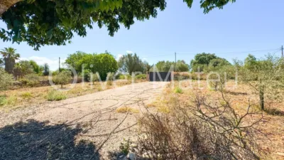 Single-family chalet in Algaida-Sta.Eugenia photo 39