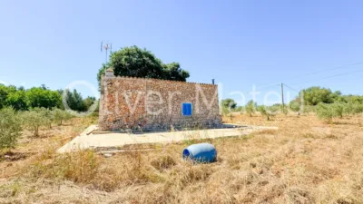 Single-family chalet in Algaida-Sta.Eugenia photo 43