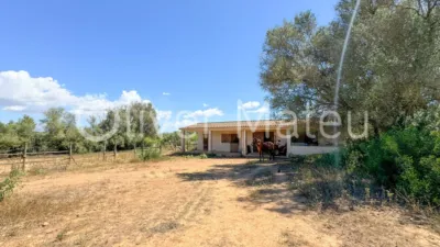 Single-family chalet in Algaida-Sta.Eugenia photo 23