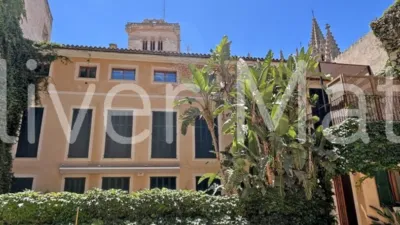 Duplex in Carrer Deganat photo 20
