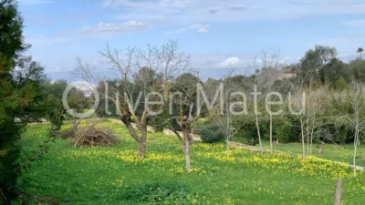 House on Carretera de Llucmajor photo 24