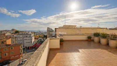 Apartment on Carrer de les Mestres d'Aixa photo 15