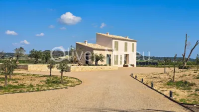 Detached House in the Outskirts photo 8