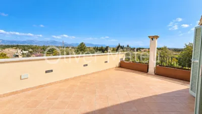 Detached house in Sineu photo 43
