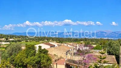 Detached house in Sineu photo 44