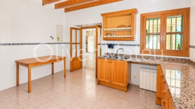 House in Establiments photo 12