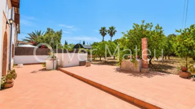 House in Establiments photo 6